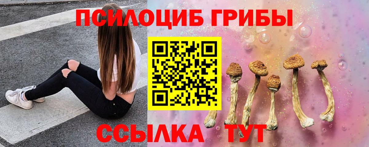 Псилоцибиновые грибы GOLDEN TEACHER Верхняя Пышма