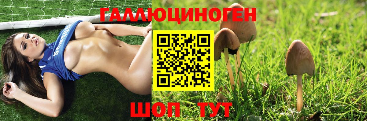 Галлюциногенные грибы мухоморы  Вход с VPN  Верхняя Пышма 